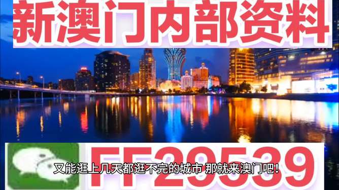 新澳门今晚必开一肖——探索生肖彩票的魅力与玄机，澳门生肖彩票探索，神秘魅力与未知玄机