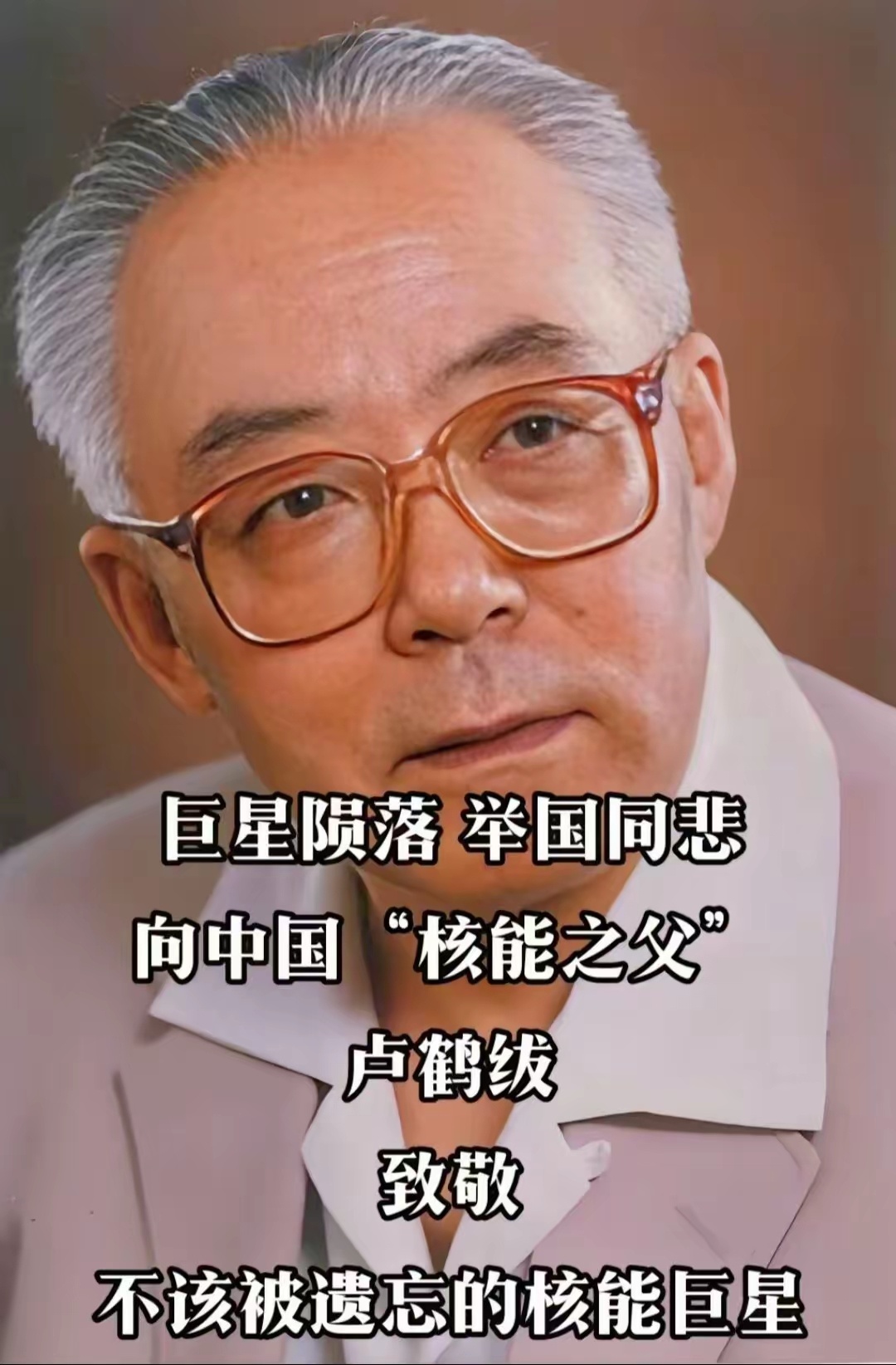 卢鹤绂，一代宗师，卓越科学家的光辉人生，卢鹤绂，卓越科学家的光辉人生，一代宗师之典范