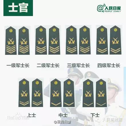 公布