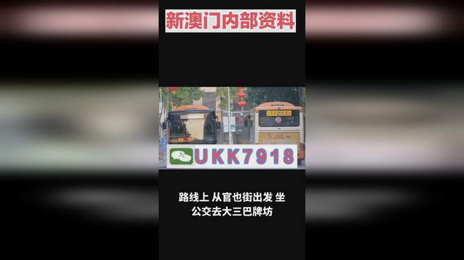 澳门今晚的开奖结果预测与探讨，澳门今晚开奖结果预测及分析