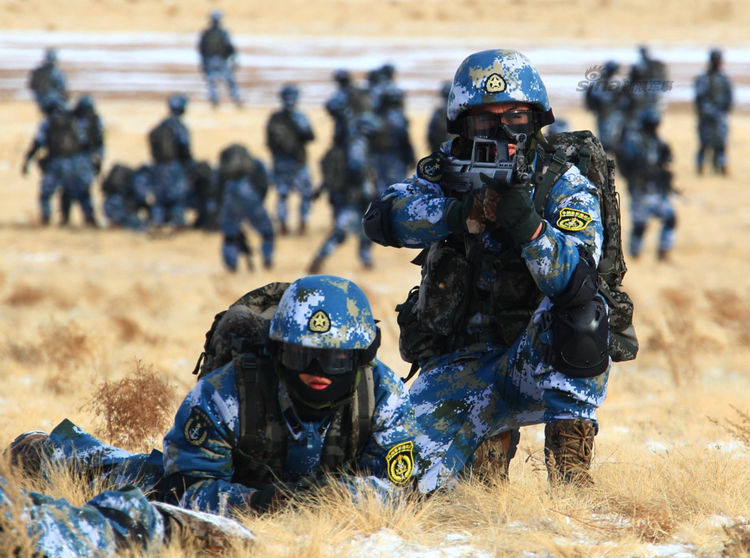 海军陆战队所属兵种解析，海军陆战队所属兵种深度解析