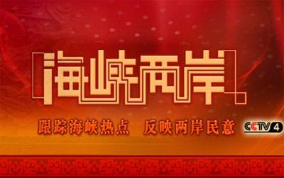 海峡两岸关系的新篇章，2014年2月1日的独特视角，海峡两岸关系新篇章，独特视角下的2014年2月1日观察