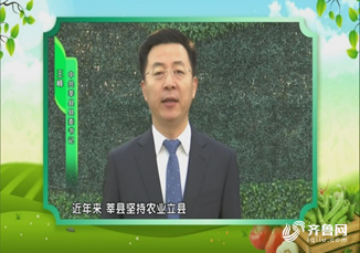 中央新闻聚焦莘县王峰，一位基层英雄的奋斗与担当，中央新闻关注莘县王峰，基层英雄的奋斗与担当