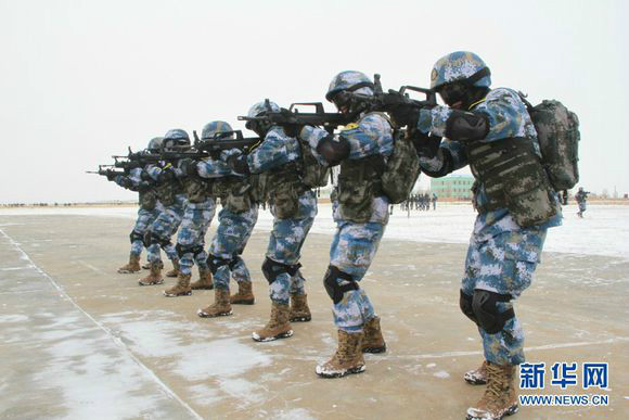 青岛有海军陆战队吗，揭秘海军陆战队在青岛的存在与发展，揭秘青岛海军陆战队，存在与发展历程