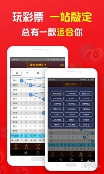 探索神秘数字与生肖,王中王必中一肖的解读与解析,揭秘神秘数字生肖,王中王必中一肖的奥秘解读与解析