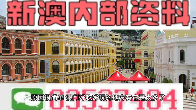 新澳门内部免费资料精准大全，探索与解析，澳门内部资料精准探索与解析大全