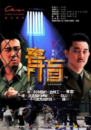 天涯论坛与安徽，网络之声与地域文化的交融，天涯论坛与安徽的地域文化交融，网络之声的地域情怀