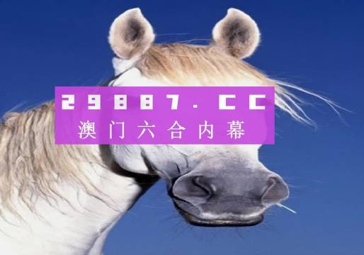 澳门一肖一码一，探索背后的神秘与魅力，澳门一肖一码背后的神秘魅力探索