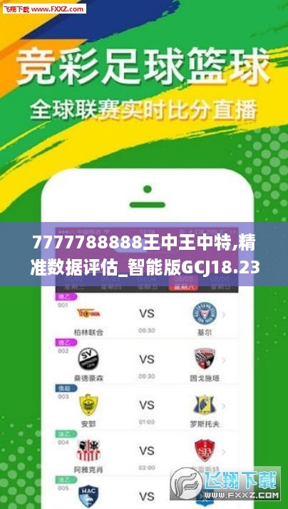 王中王07期指一生肖——探寻背后的神秘与魅力，王中王07期指一生肖，神秘魅力背后的探寻