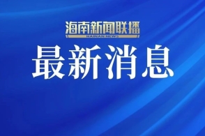 新澳2025正版资料免费公开，探索与启示，新澳2025正版资料免费公开，探索之旅与启示