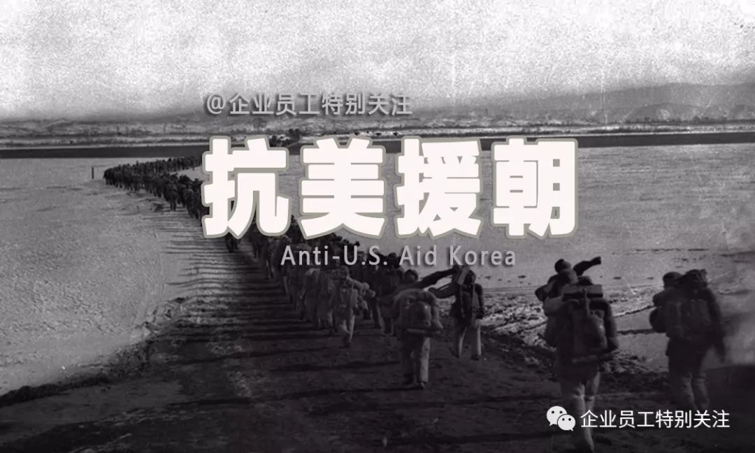 历史回顾与深度解析