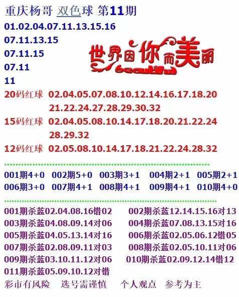 新澳天天开奖资料大全第262期详解，新澳天天开奖资料第262期详解概览