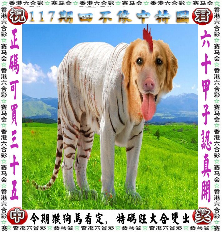 山林之中王中王——探寻生肖之王的奥秘，山林之王中的王者奥秘，探寻生肖之王的神秘面纱