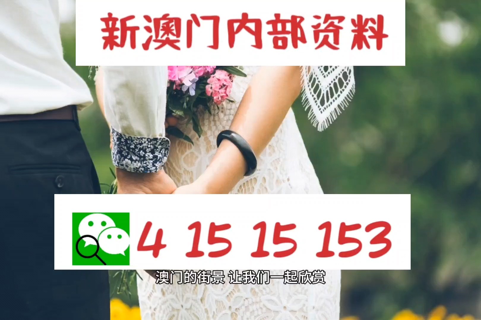 新澳门资料大全正版资料，探索与揭秘，新澳门资料大全正版探索与揭秘，揭开真相的大门