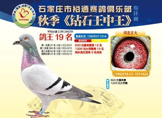 王中王四马一肖，传奇的组合与深藏的奥秘，王中王四马一肖，传奇组合背后的奥秘与故事