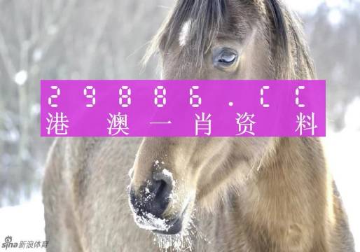 揭秘一肖一码，澳门100%准确预测背后的真相，揭秘澳门一肖一码预测真相，真相究竟如何？
