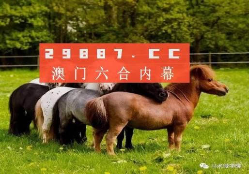 一马中特免费资料公开,助力学习,开启知识新时代,一马中特免费资料大公开,助力学习,开启知识新时代之门