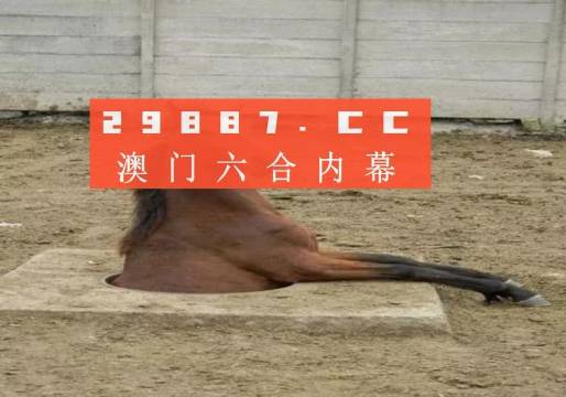 王中王黄大仙一肖中特马——神秘传奇与智慧解读，神秘传奇与智慧解读，王中王黄大仙预测特马之谜