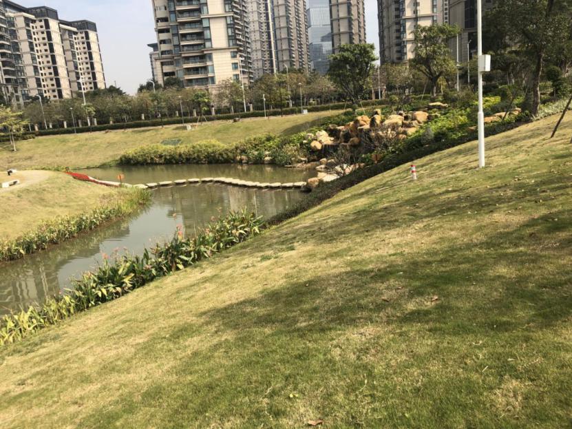 澳门六资料6码爆庄