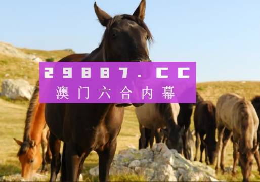 澳门管家婆一肖一码一中开，揭秘与探讨，澳门管家婆一肖一码揭秘与探讨