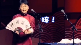 一肖拖一肖二中二中的组合规律与特点分析，一肖拖一肖二中二中组合规律与特色解析