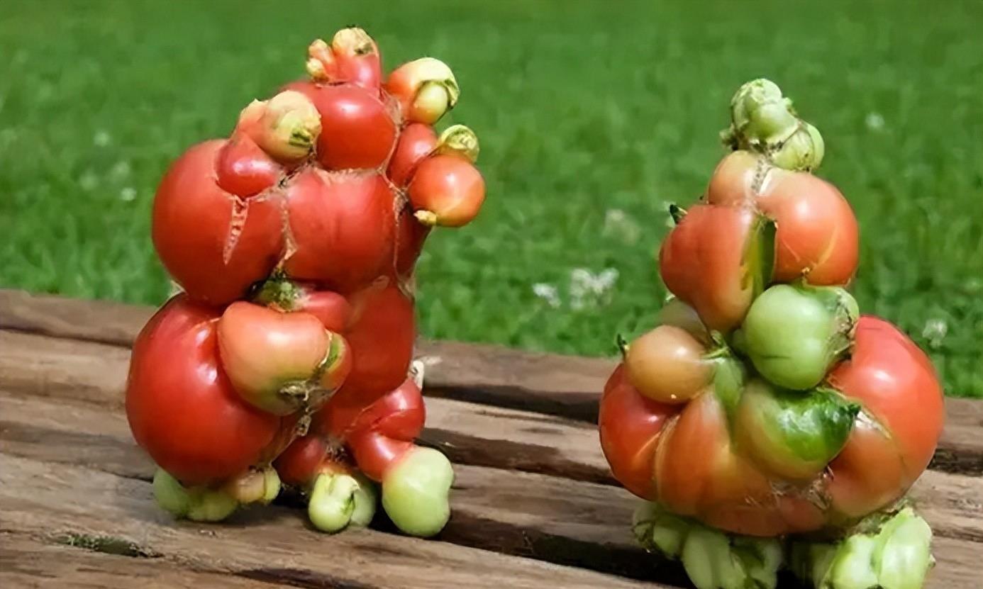 福岛,灾难与重建的交织,福岛,灾难与重建的交织之路