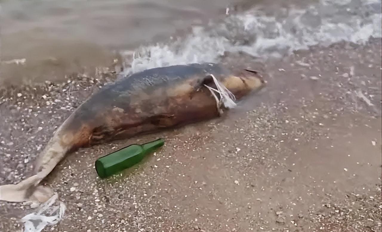 福岛,灾难与重建的交织,福岛,灾难与重建的交织之路