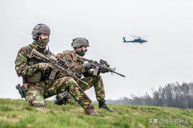 中德陆军,合作与交流的典范,中德陆军合作,典范中的交流与共赢