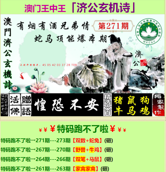 香港王中王马会一肖中特，探索神秘与魅力的交汇点，香港王中王马会一肖中特，神秘魅力交汇点的探索之旅