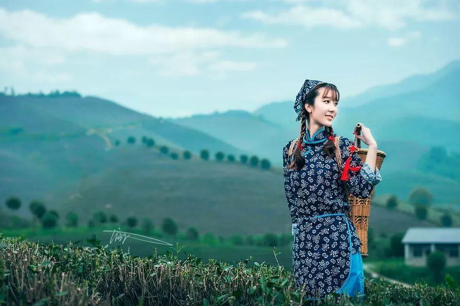 天下彩天天空彩资料免费大全管家，探索彩票世界的宝库，天下彩天天空彩资料大全管家，解锁彩票世界宝藏之门