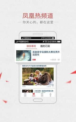 凤凰网新闻网首页官网,新闻与信息的汇聚之地,凤凰网新闻网首页官网,新闻与信息的综合汇聚平台