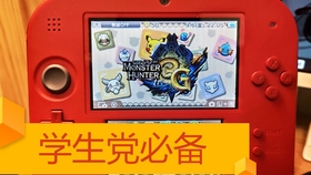 王中王059期指一生肖——探寻背后的故事与意义，王中王059期生肖背后的故事与意义探寻