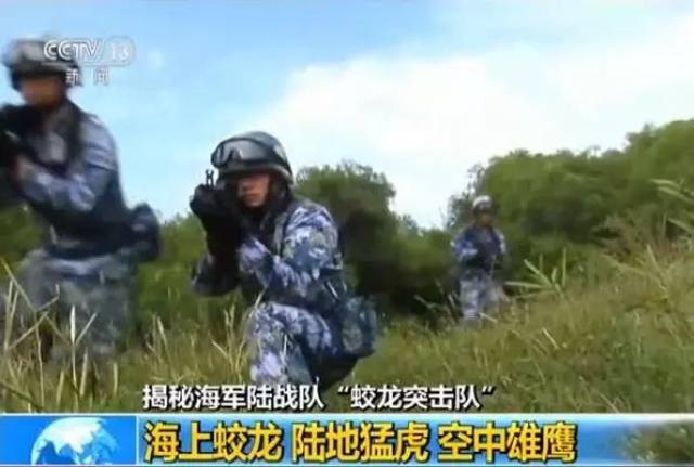蛟龙突击队肩章，荣耀的象征与使命的承载，蛟龙突击队肩章，荣耀与使命的象征