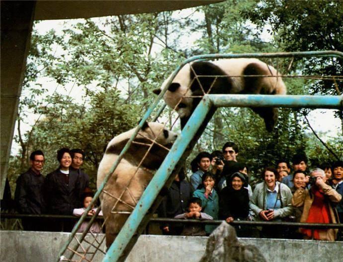 中国女子日本买岛最新消息,跨界投资展现中日经济交流新篇章,中国女子日本买岛引发关注,跨界投资开启中日经济交流新篇章