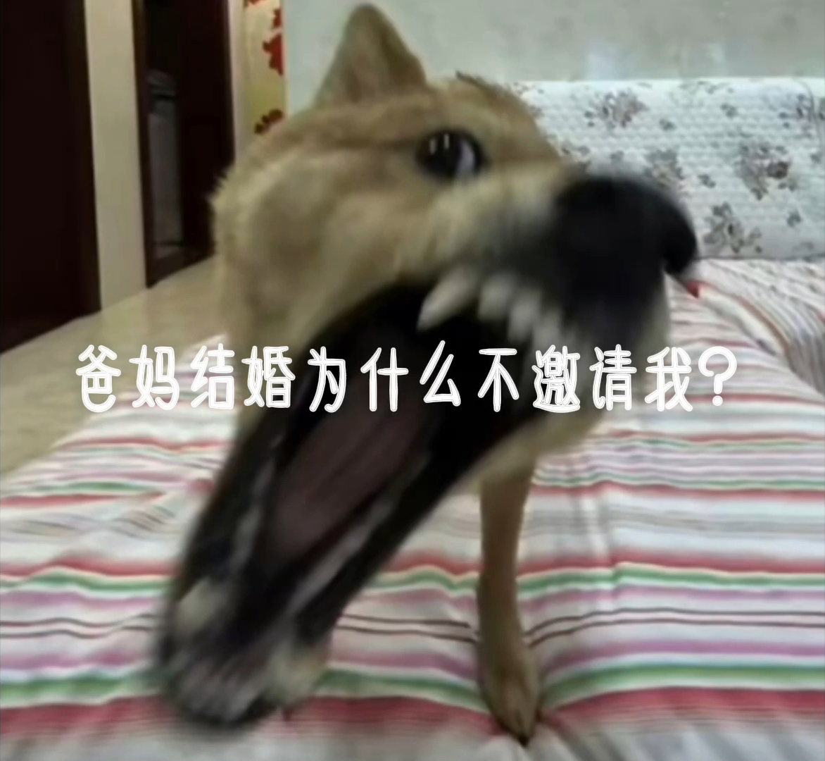 探究内心，为何迟迟不肯提及结婚？，探究内心，为何迟迟不愿走进婚姻？