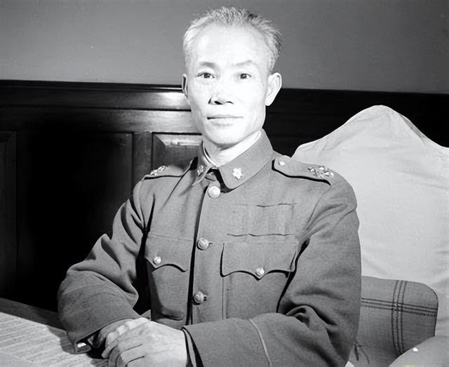 凤凰军机处与越南，历史、现状与展望，凤凰军机处与越南，历史沿革、现状分析及未来展望