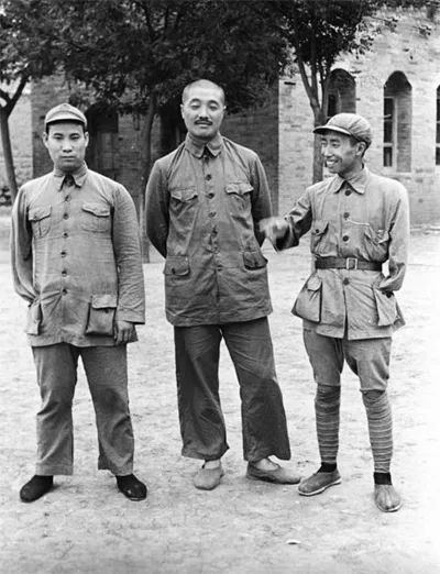 三野将领偏低的原因与影响，三野将领偏低的原因及其影响分析