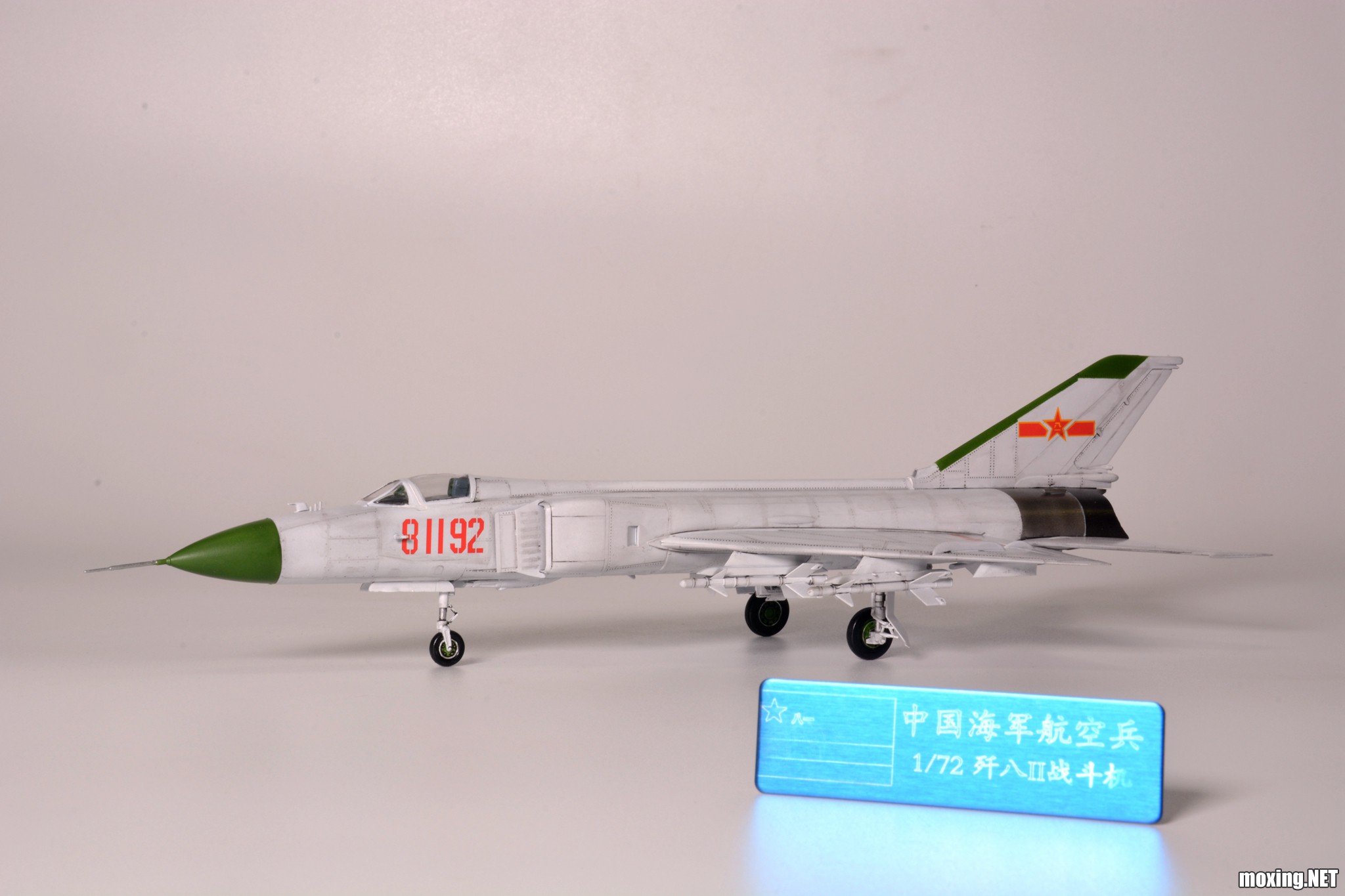 歼八标本，揭示中国空军力量的重要篇章，歼八标本，中国空军力量的历史见证与重要篇章