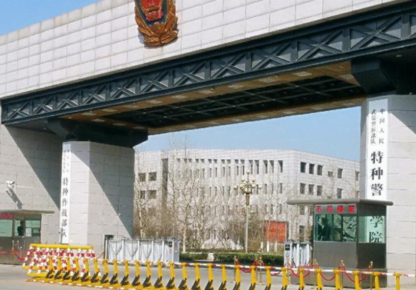 特种警察学院毕业去向,多元化发展的职业路径,特种警察学院毕业后的发展方向,多元化职业路径探索