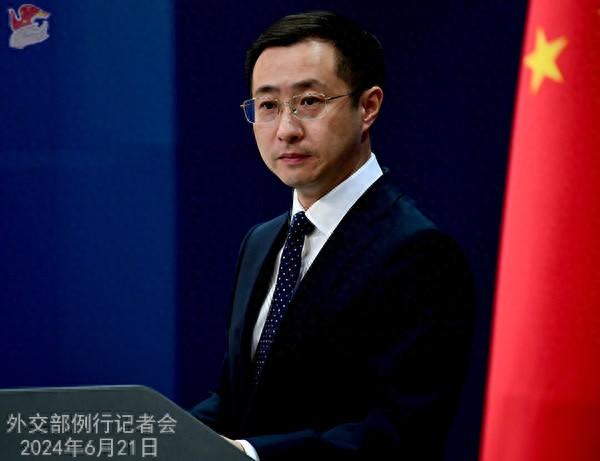 外交部副部长及其职责与数量解析,外交部副部长职责解析及数量概览