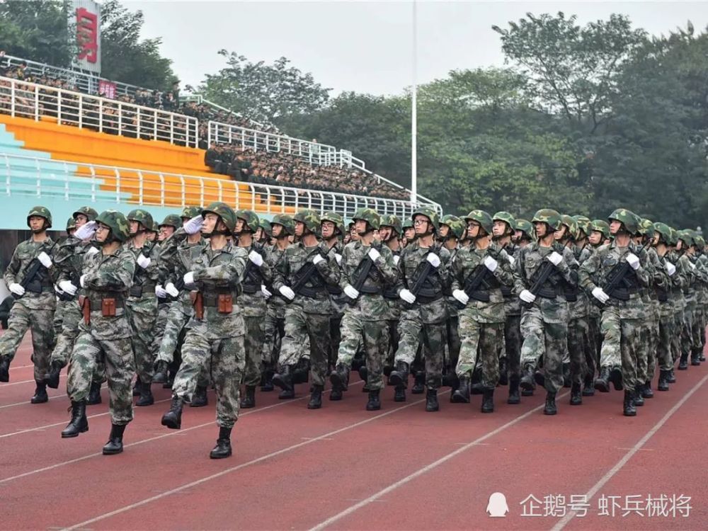 中国陆军现有的集团军数量解析，中国陆军集团军数量解析，揭秘现有集团军数量及布局