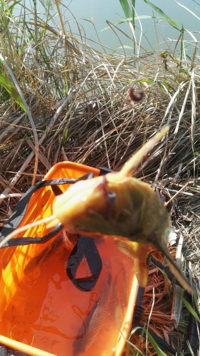 这几天怎么没播海峡两岸新闻?深度探究背后的原因,海峡两岸新闻缺席,深度探究背后的原因