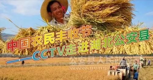今天是丰收节，我们的粮食够吃吗？，丰收节之际，粮食储备状况与我们的需求是否匹配？