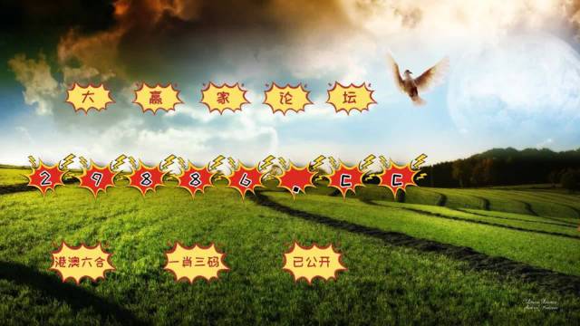 澳门挂牌资料
