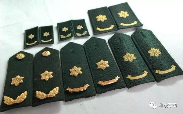 文职干部军衔,军队中的特殊荣誉与职责担当,文职干部军衔,军队荣誉与职责担当的标识