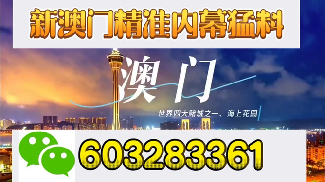 新澳门今晚特马开号码，探索与期待，澳门今晚特马开码，期待与探索之旅