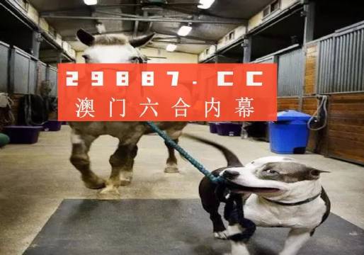澳门一肖一码一必中一肖同舟前进——探寻中国彩票文化的独特魅力，澳门彩票文化揭秘，一肖一码的魅力与探寻中国彩票的独特韵味
