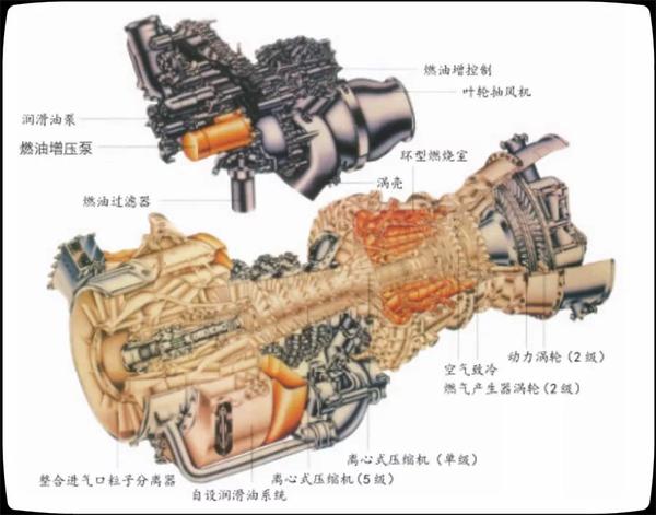 全面解析（或详解）