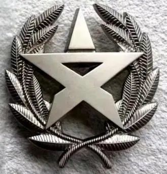 武警部队21式帽徽,新时代军威的象征,武警部队21式帽徽,新时代军威的荣耀象征