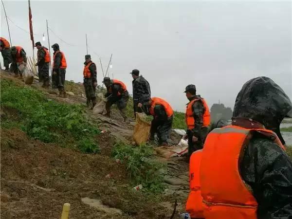南京的十二集团军，历史与荣耀的见证者，南京十二集团军，历史与荣耀的见证者